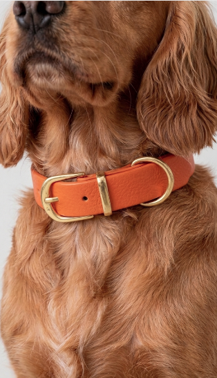 Collier imperméable