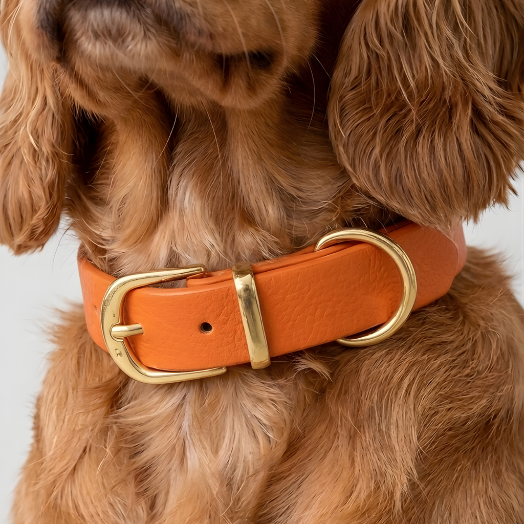 Collier imperméable